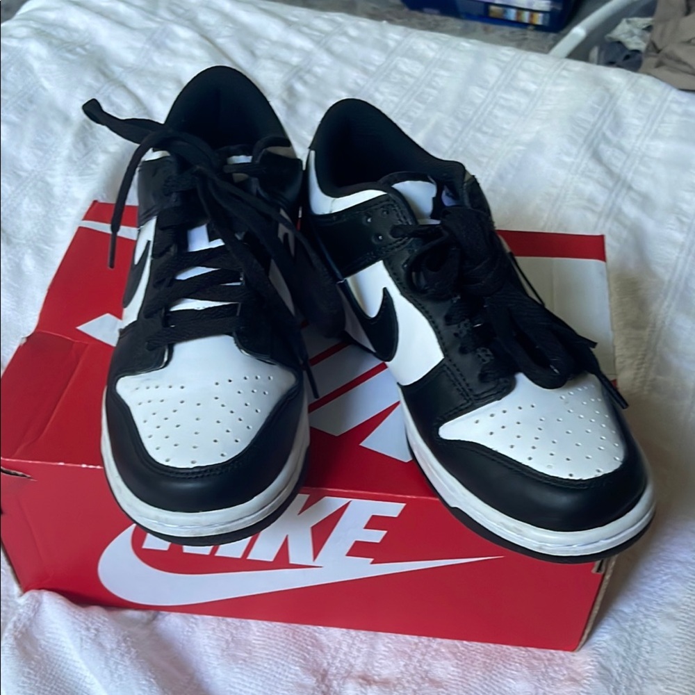 Nike Dunk Low